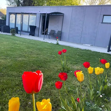 Vakantiehuis Cozy House With Garden And Jacuzzi In *