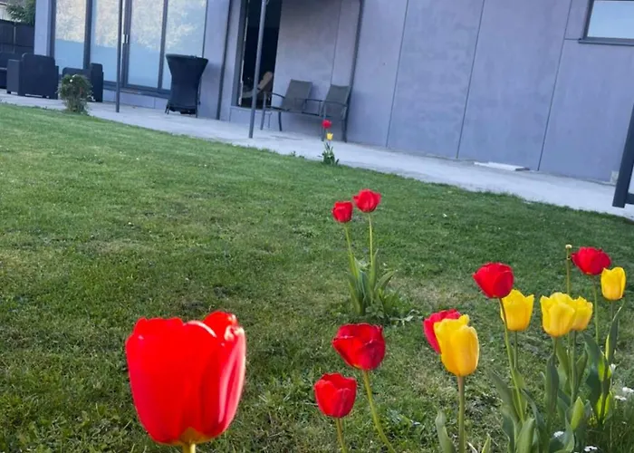 Vakantiehuis Cozy House With Garden And Jacuzzi In *